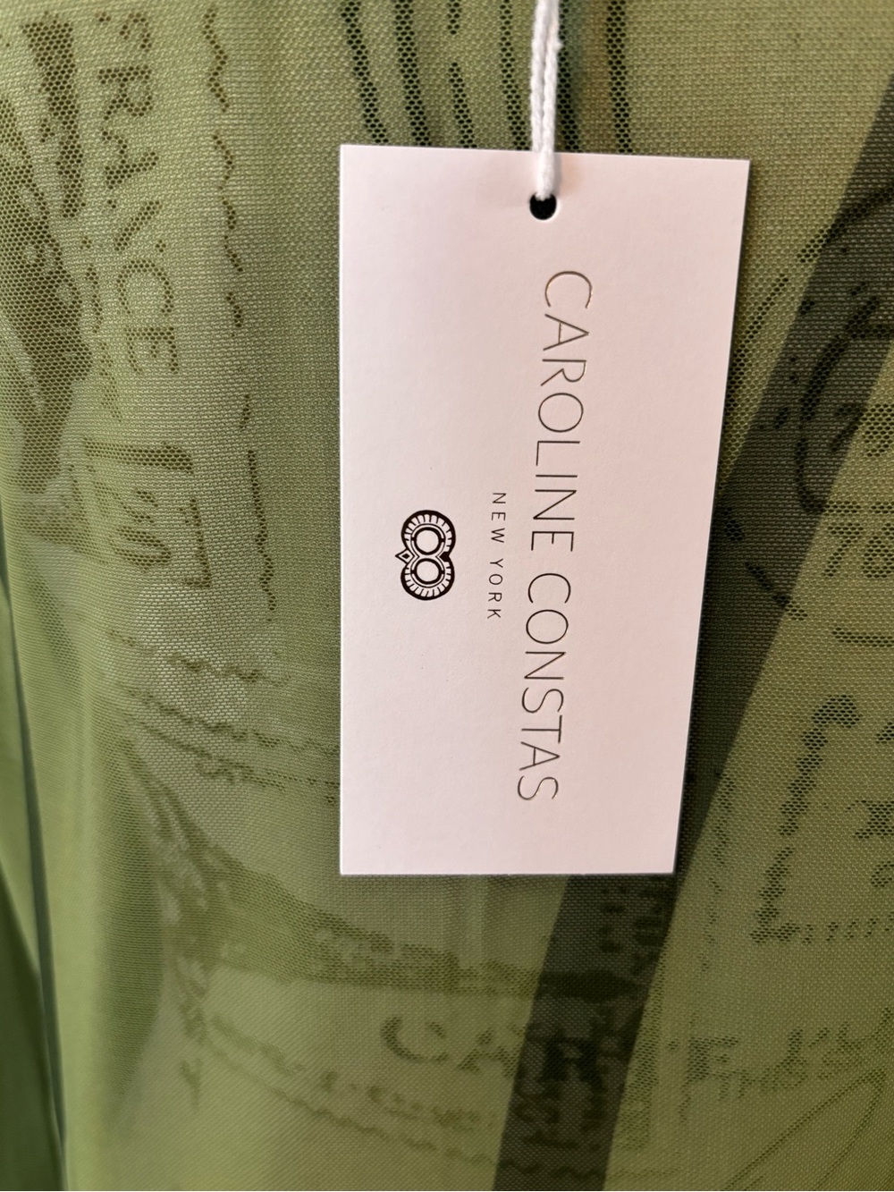 Caroline Constas Green Sheer Beach Mesh Cover Up Size Medium NWT - Picture 6 of 9